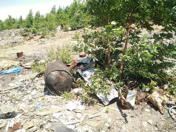 hon 700 tan bun thai tai formosa chua tim duoc doi tac xu ly hinh anh 3