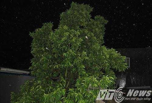 13672413_1341198479227973_522927821_n (1)