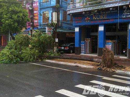 13866602_1341052632575891_270926426_n