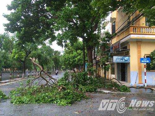 13866784_1341052639242557_2077889131_n