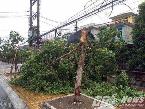 13871821_1341052635909224_1725634861_n