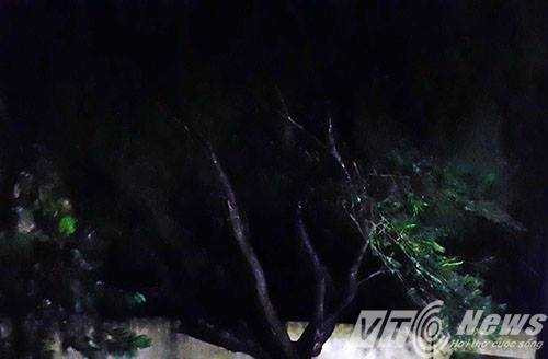 13874762_1341174802563674_1803908202_n