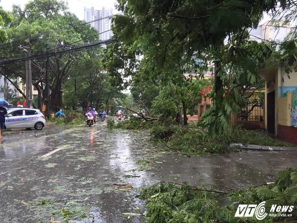 13645137_1111963025514347_2362074698965177852_n