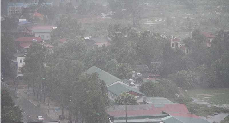 13654392_1111863062191010