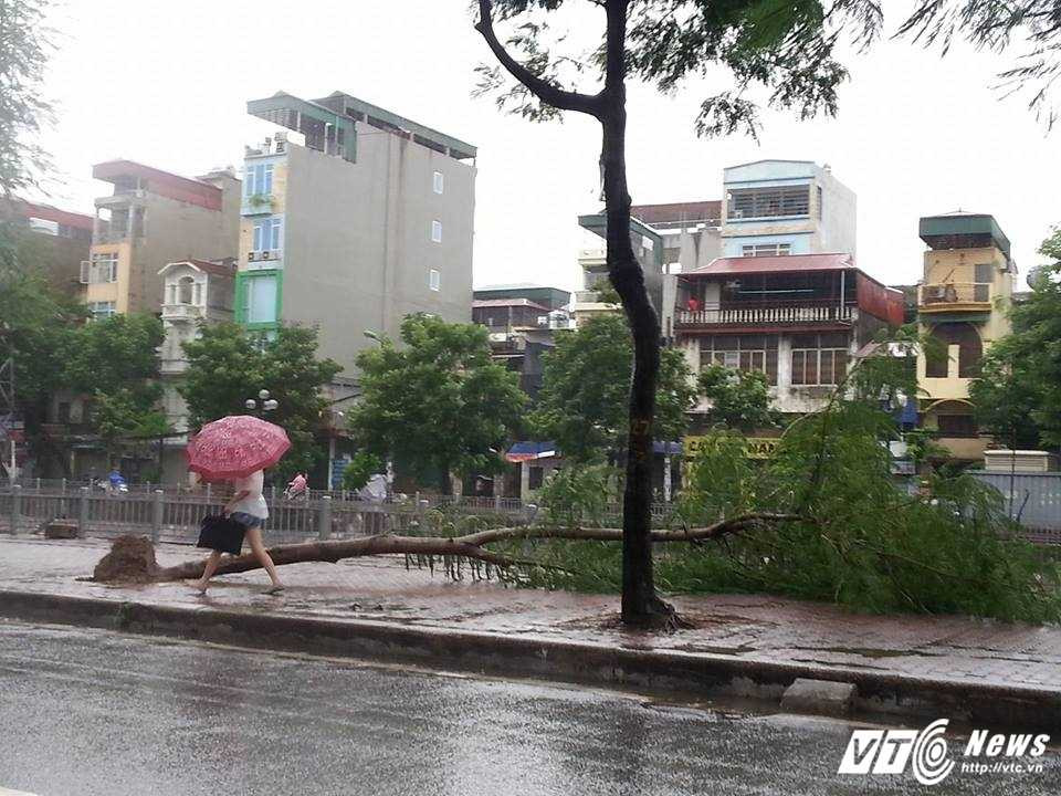 13664578_10201886655443942_1780563844_n