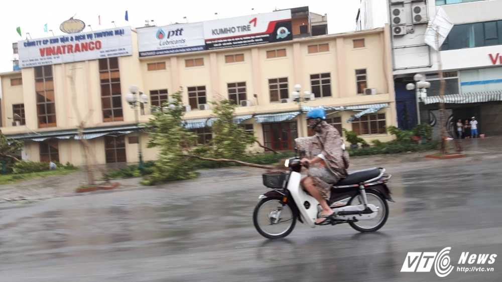 13839835_1020188659964254