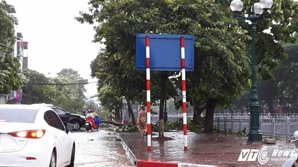 13843596_1020188659932253