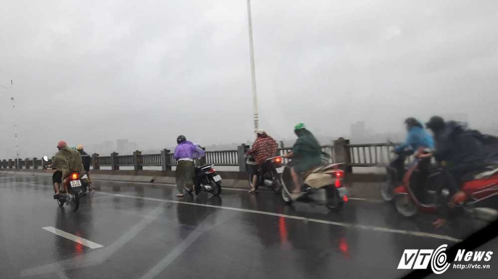 13844123_1020188659944254