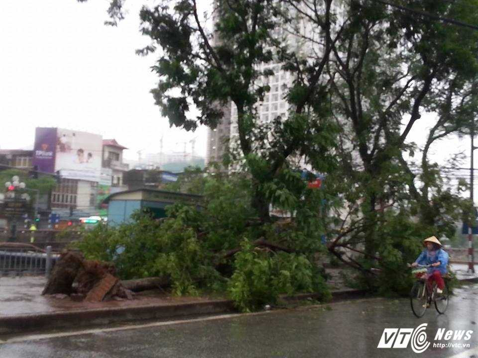 13866720_1020188665736399