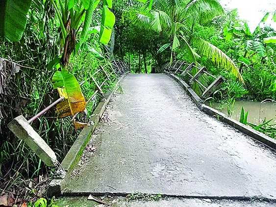 Pha hang loat lan can cau de oto cua can bo di hinh anh 1