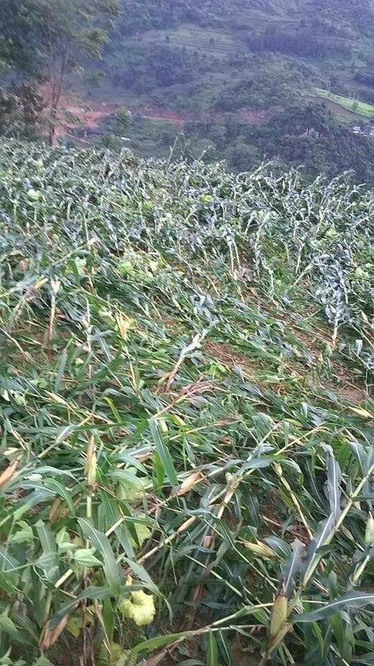 20160802221601-mua-2