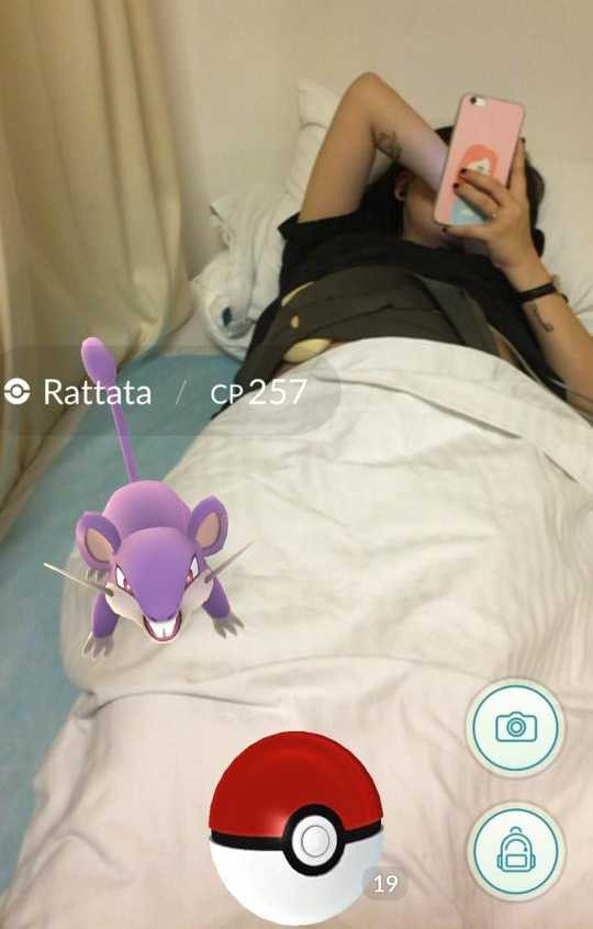 13938499_10207499062783299_7167758273847451371_n