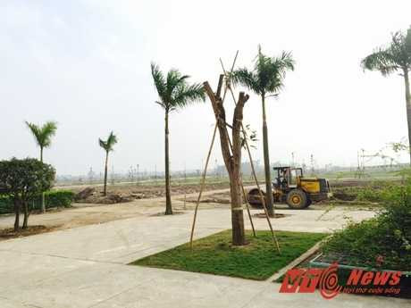 khu-do-thi-dinh-dam-thanh-ha-cienco-5_M