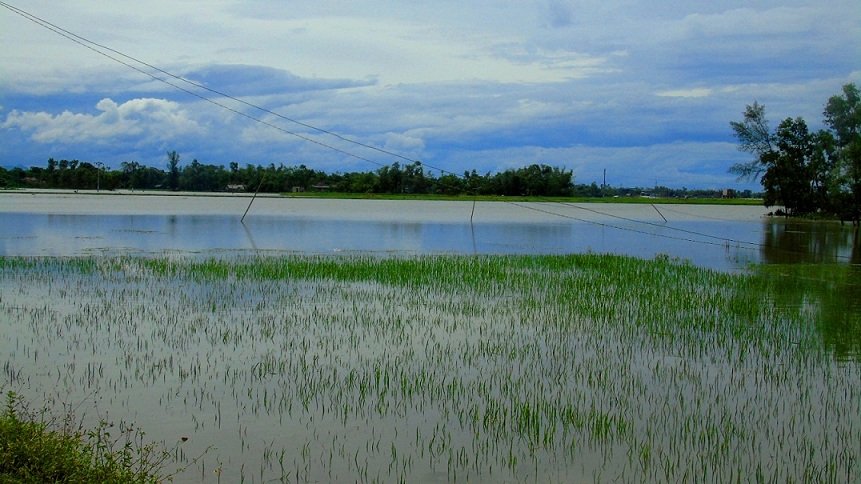 1098 - Copy - Copy 24