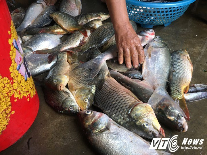 21622084_1106656262804803_534151075_n 7