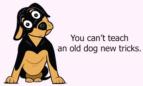 7-9794-1518838671 (1) 3