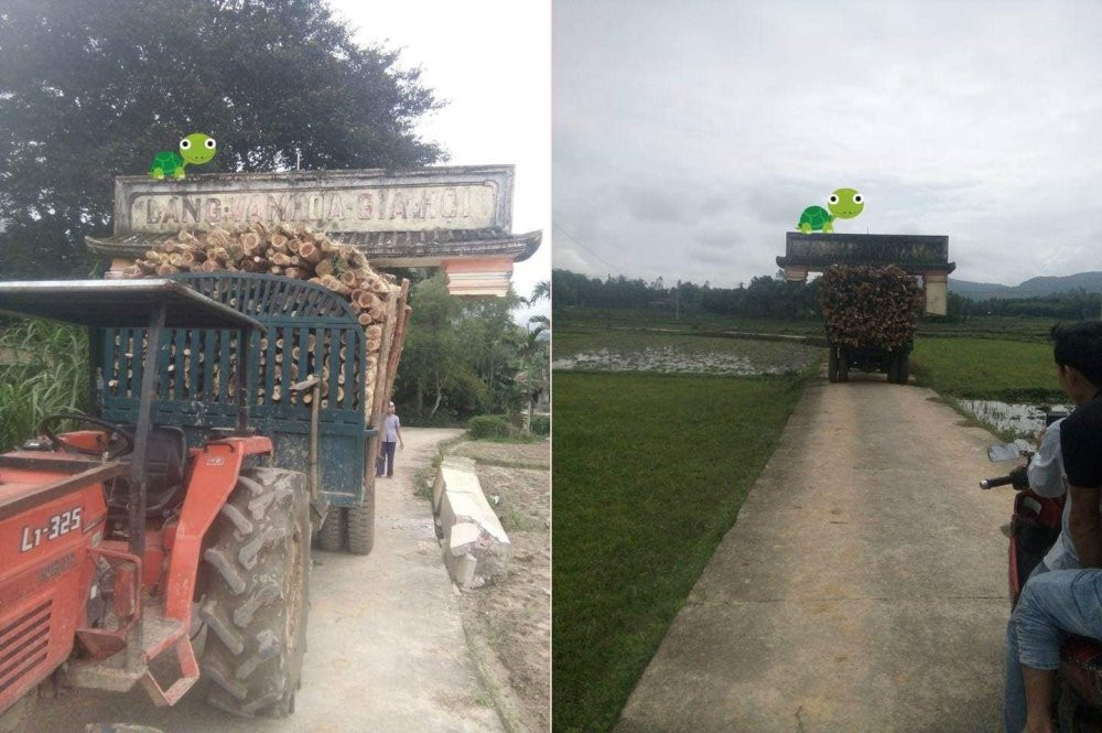 xe tai cho cong lang-horz