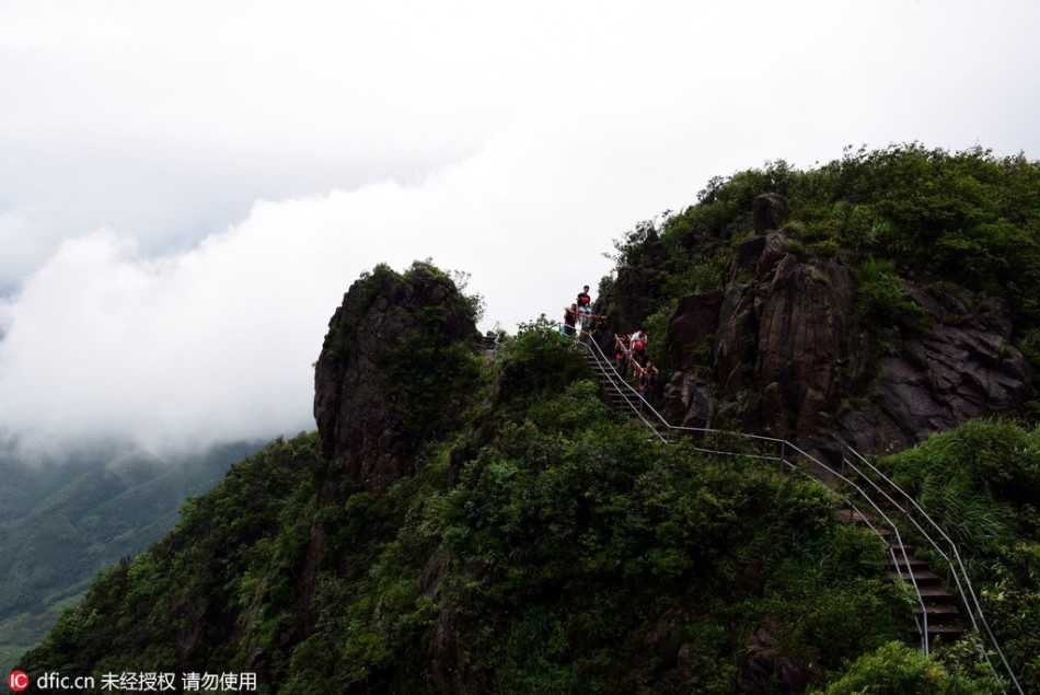 35787_5156115_854249