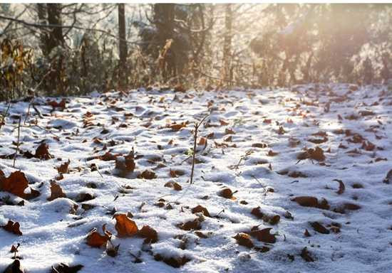 19058951_2014120512190660081600