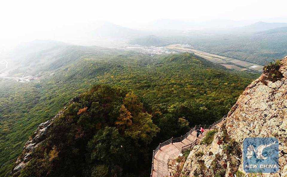 14433092_1853626904871378_1831852020703873404_n