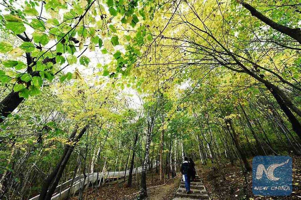 14463144_1853626998204702_5990983245882128395_n