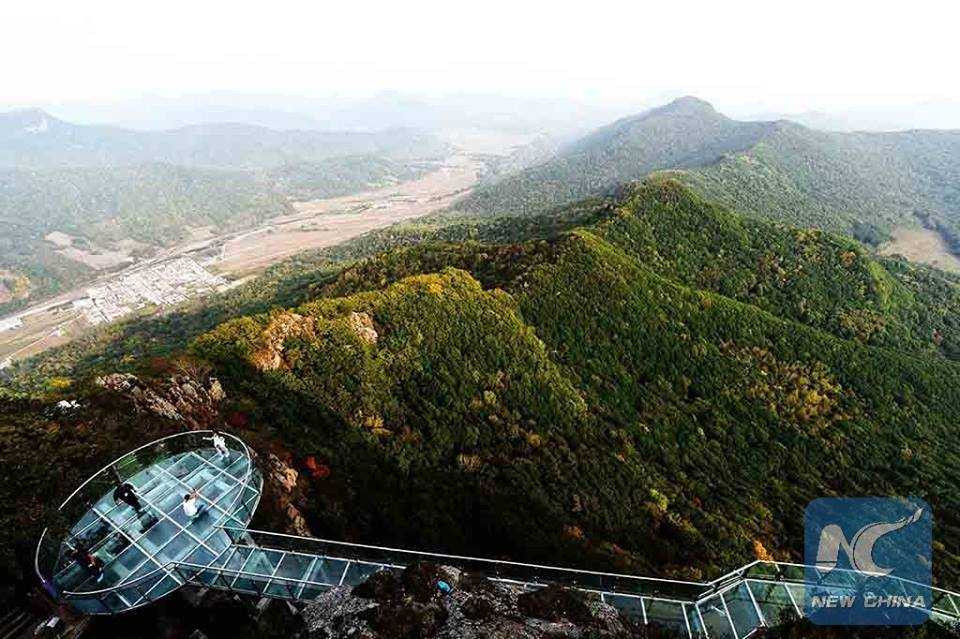 14494813_1853626944871374_6493063946378124257_n