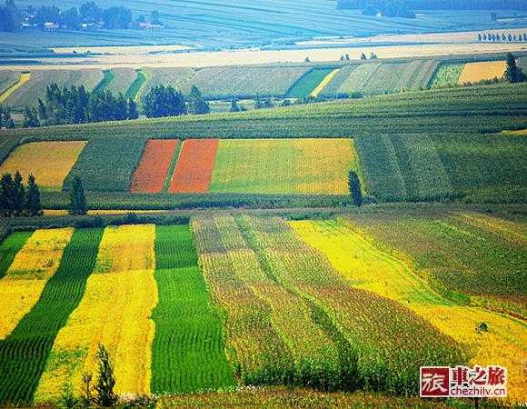 8_20130918160929_qfym6