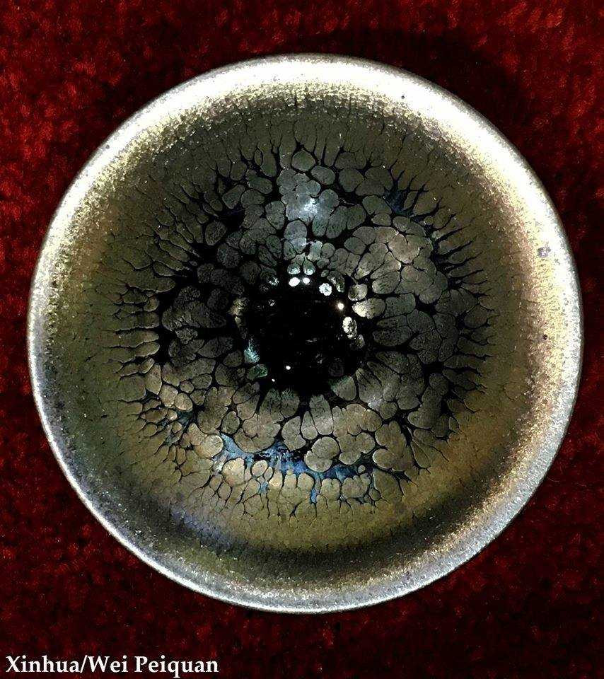 14611158_1858237271077008_3412942681829483435_n