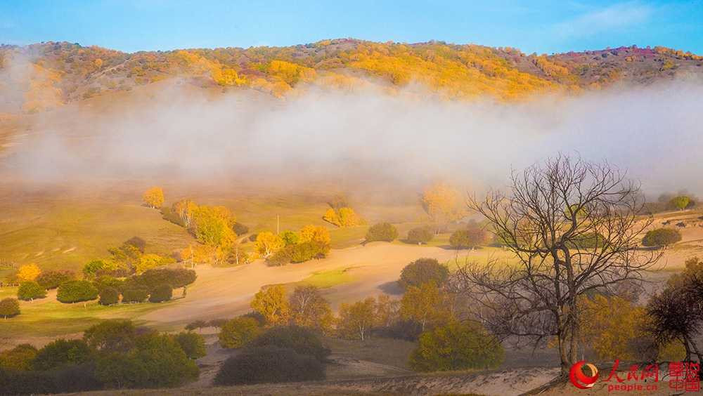 202324jy72q1pr2oy4pz7i