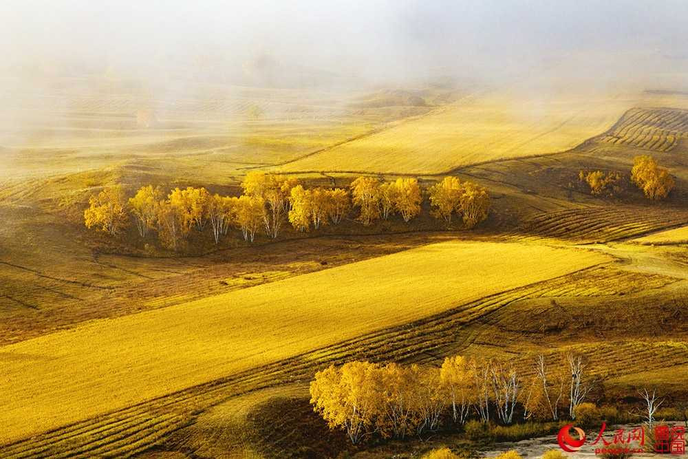 202325wfnbjgbb7ly7fleb