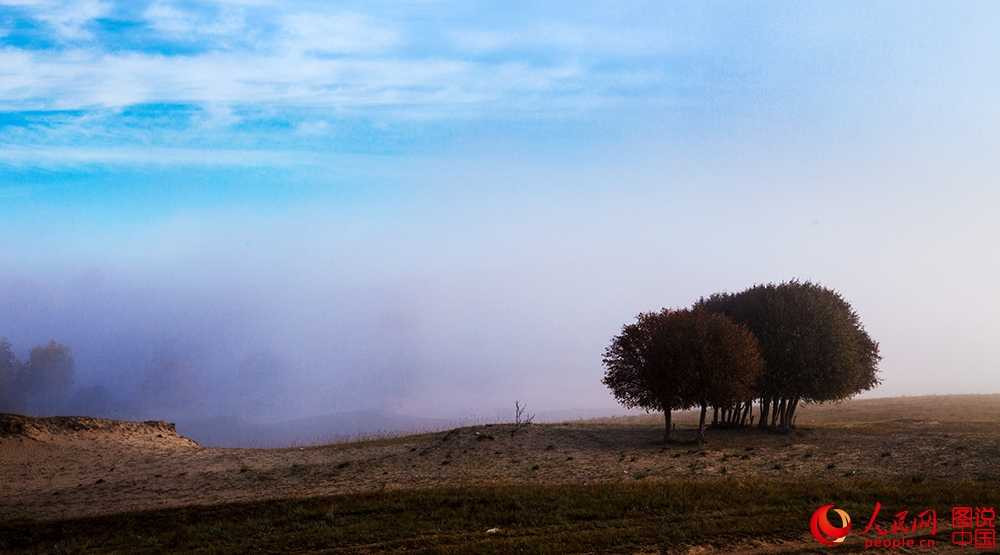 202325wgpi4mz4hrgkvvwp