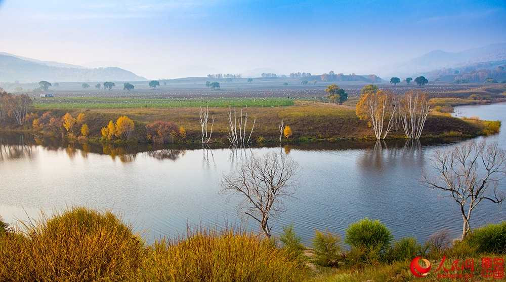 202326g7p977tfufj8cgld