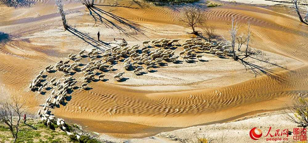 202326uvc9f69ttgdxjfgz