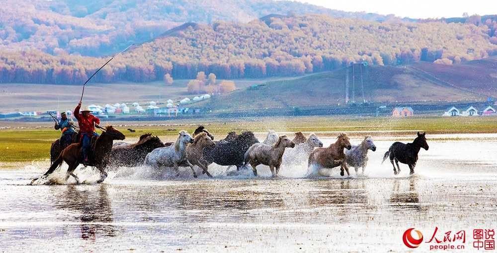 202329bplnl9z4r70n1l7z