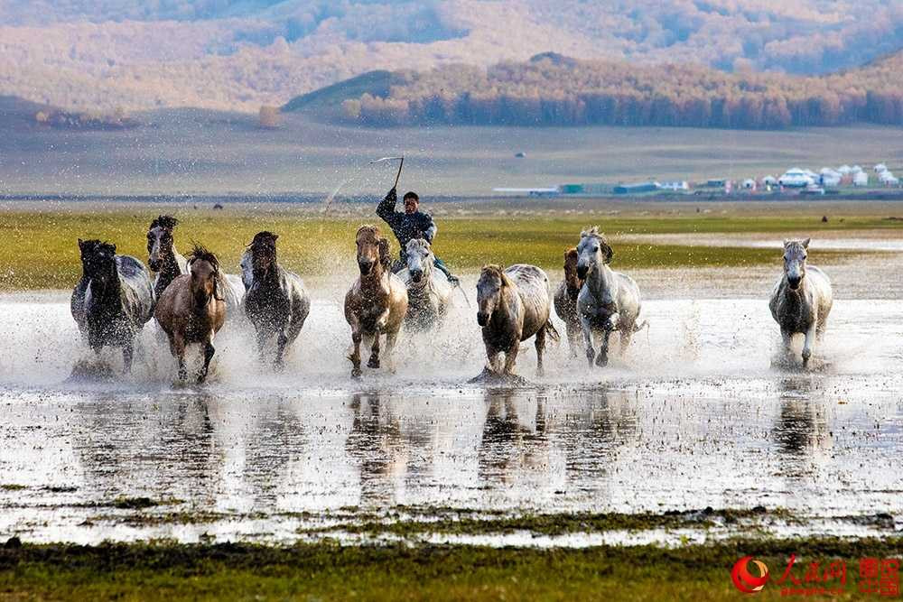 202329mb9nnp2bd022zs1b