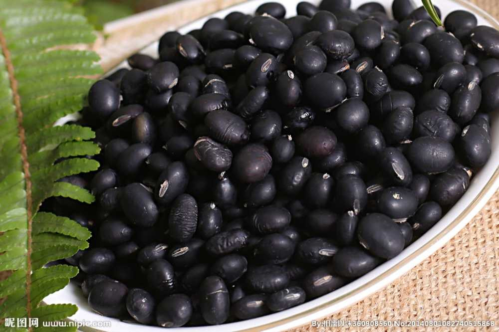 18903635_082740515868_2