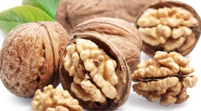 cong-dung-cua-qua-oc-cho