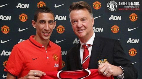 dimaria 5
