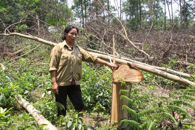 Giao dat chong cheo, xa giai quyet 10 nam chua xong hinh anh 2