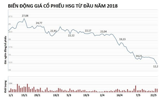 Co phieu giam manh, vo ong Le Phuoc Vu muon ban het von khoi Hoa Sen hinh anh 3