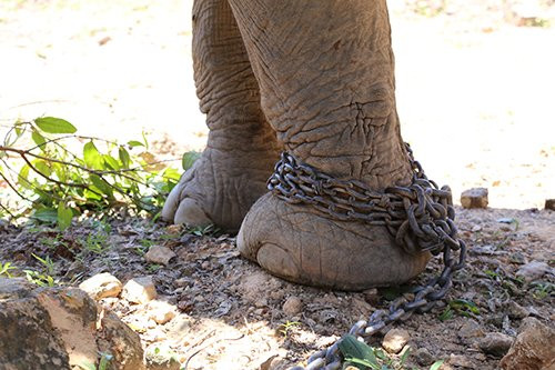 aIMG-9979-5845-1527409436