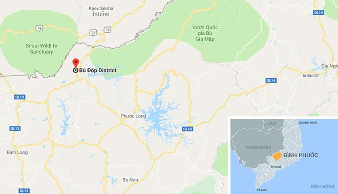 Hang chuc cay uoi rung bi chat ha de lay hat hinh anh 3