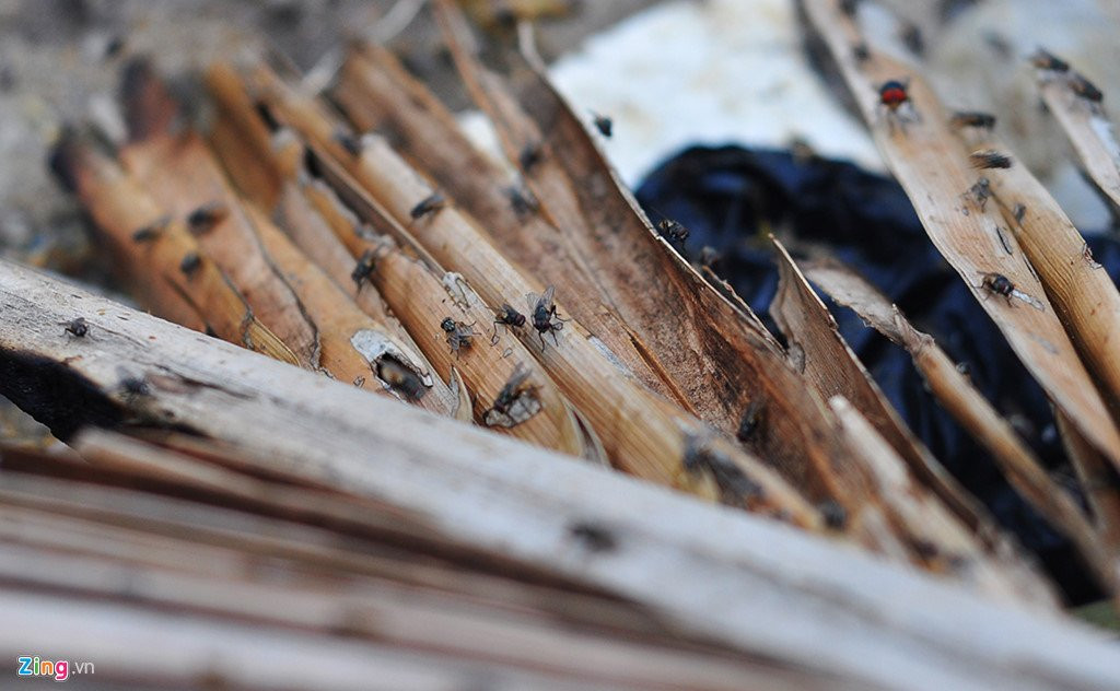 Bo bien dep tro thanh bai chua hang tan rac thai hinh anh 15