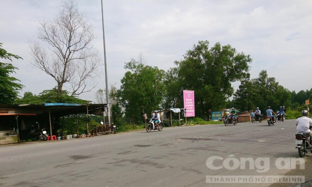 33c9c0e8c9cb289571da_1272_763_745 8