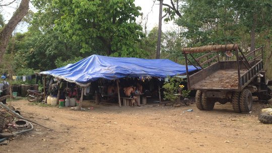 Vụ trùm gỗ lậu Phượng râu: Xem xét kỷ luật hàng loạt lãnh đạo biên phòng - Ảnh 2.