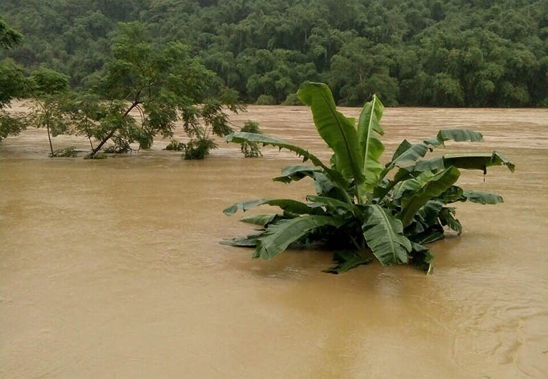 lu-chia-thanh-hoa_ognr 15