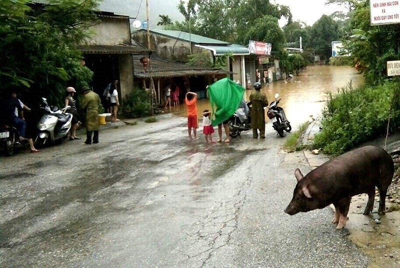 lu-thanh-hoa_aauy 11