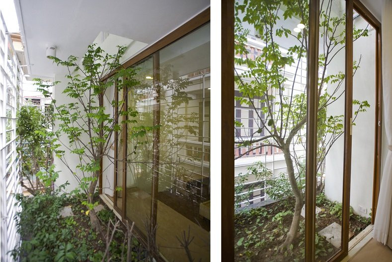 Hướng dẫn cách mang cả 'vườn cây' vào nhà bất chấp không gian chật hẹp