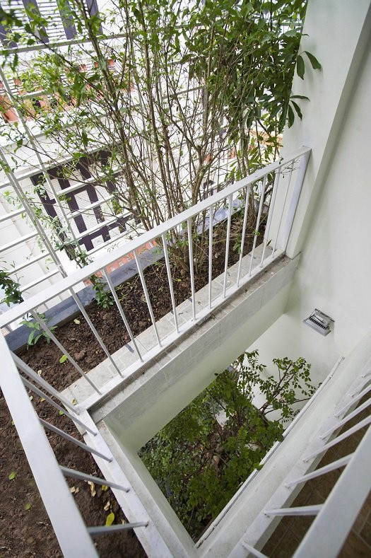 Hướng dẫn cách mang cả 'vườn cây' vào nhà bất chấp không gian chật hẹp