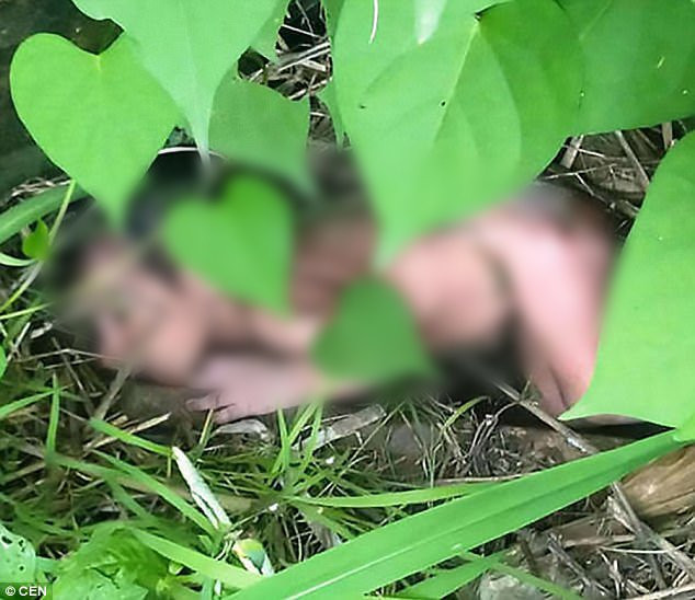 Bé gái bị vứt trong bụi rậm, đầy thương tích: Nghi do bố mẹ thích con trai hơn